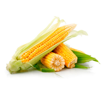 Семена сладкой кукурузы